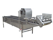 Vegetable cleaner